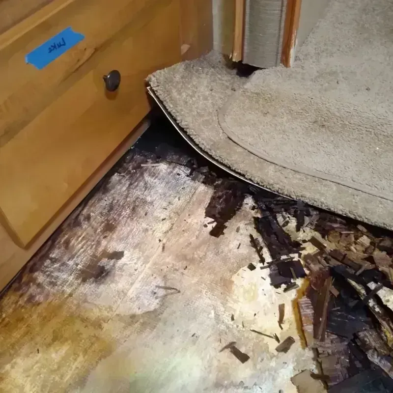 Best Wood Floor Water Damage Service in Mahaska County, IA